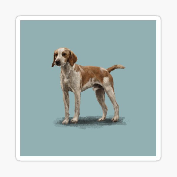 Item preview, The Beagle designed and sold by Elspeth Rose Design.