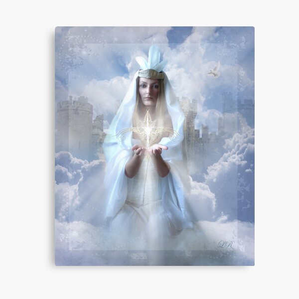 Catch a falling star Canvas Print