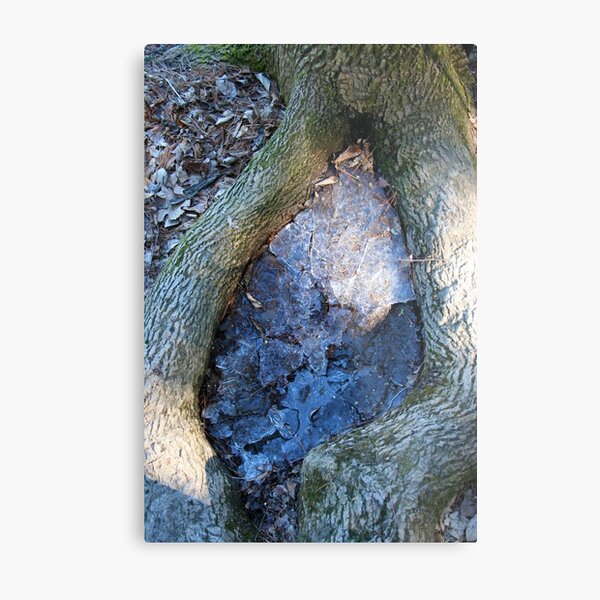 Cracked Metal Print