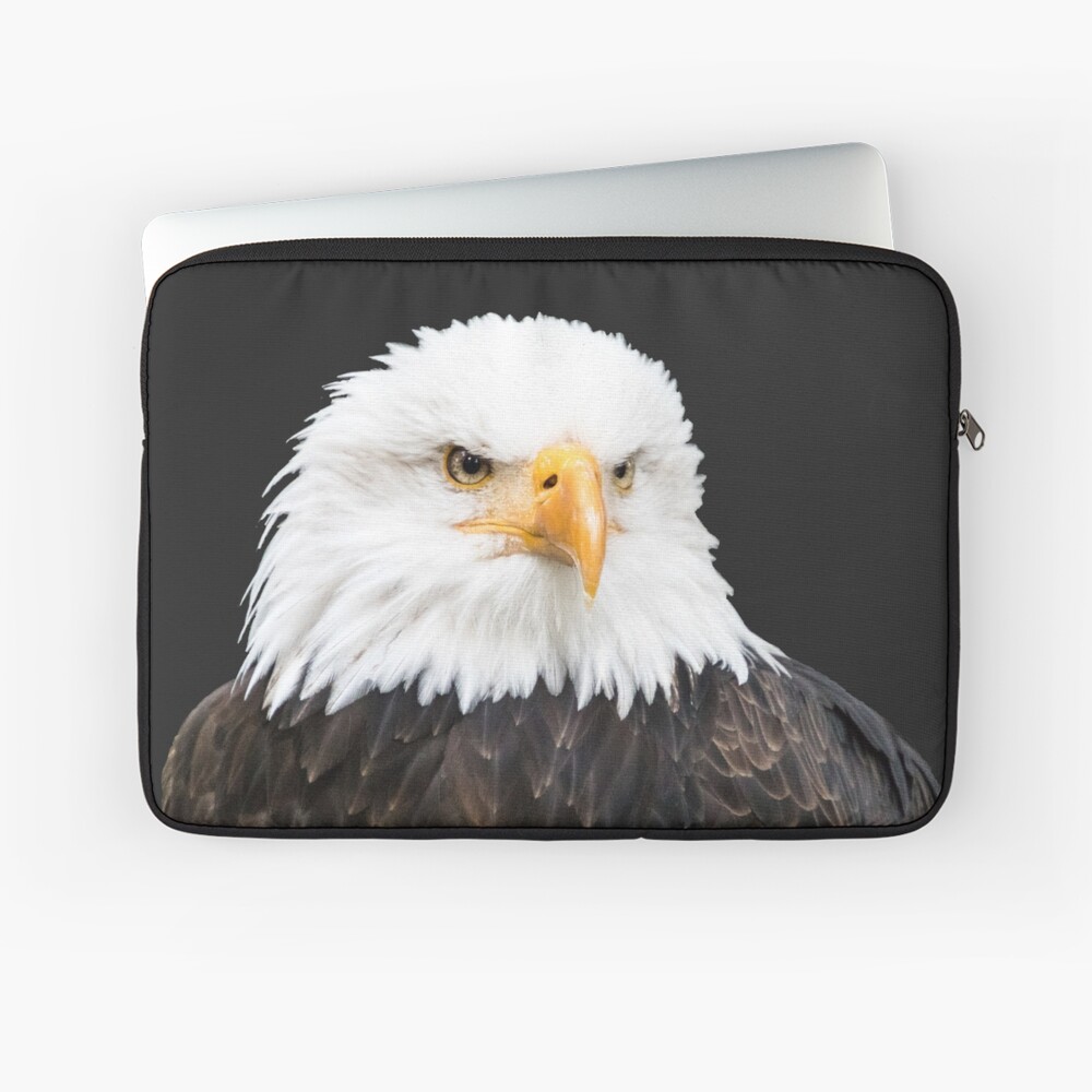 Artikel-Vorschau von Laptoptasche, designt und verkauft von Igelchen.