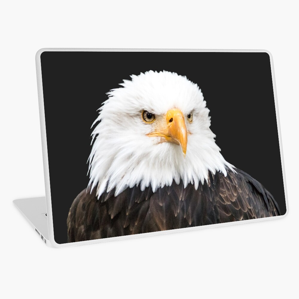 Artikel-Vorschau von Laptop Folie, designt und verkauft von Igelchen.