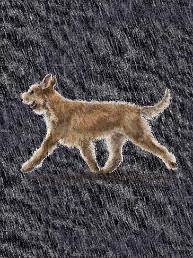 The Berger Picard Dog by elspethrose