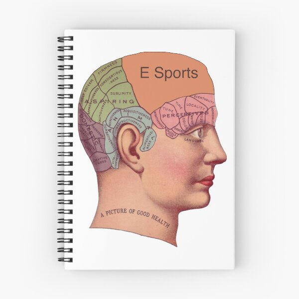 Item preview, Vintage brain diagram - E Sports designed and sold by qlobba.