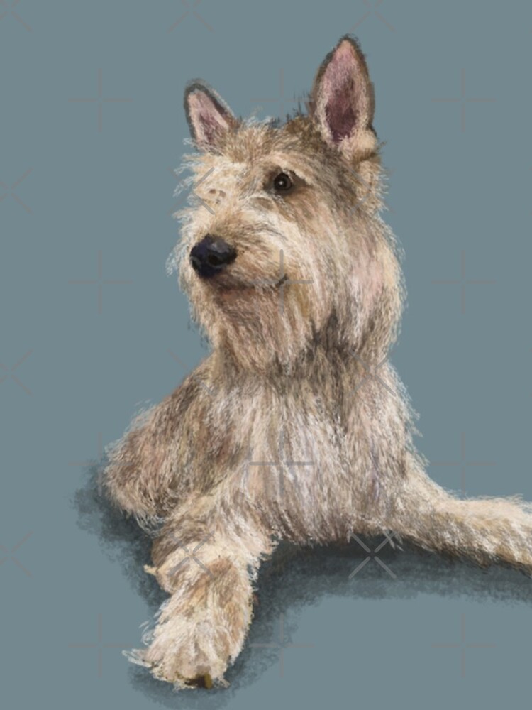 The Berger Picard Dog by elspethrose