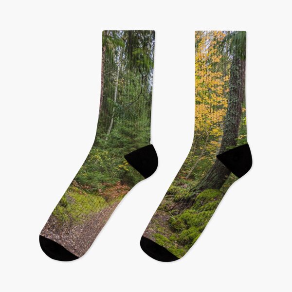 Item preview, Path in a Deep Forest in Northern Europe in Autumn  designed and sold by Jon Shore.