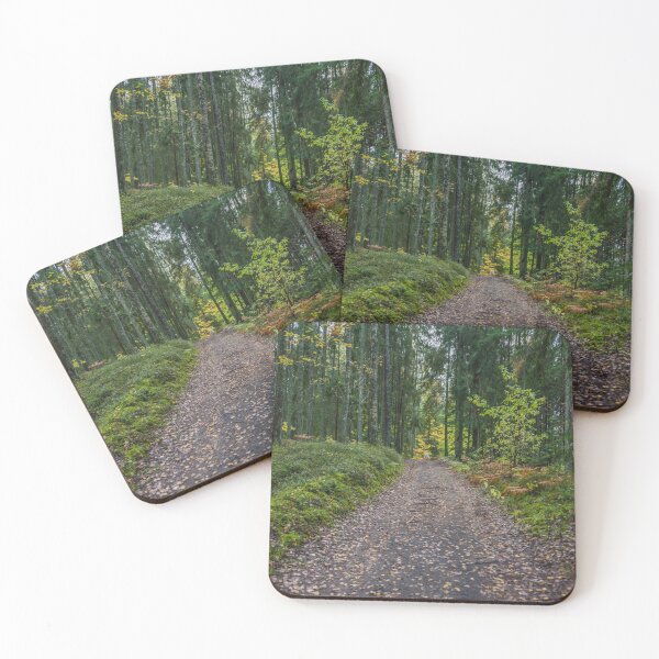 Item preview, Path in a Deep Forest in Northern Europe in Autumn  designed and sold by Jon Shore.