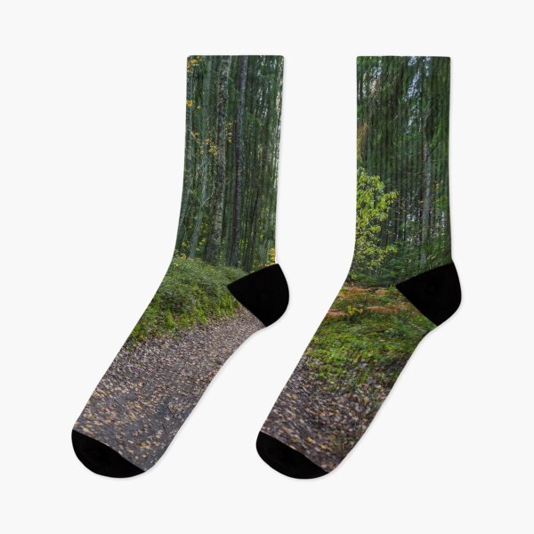 Item preview, Path in a Deep Forest in Northern Europe in Autumn  designed and sold by Jon Shore.