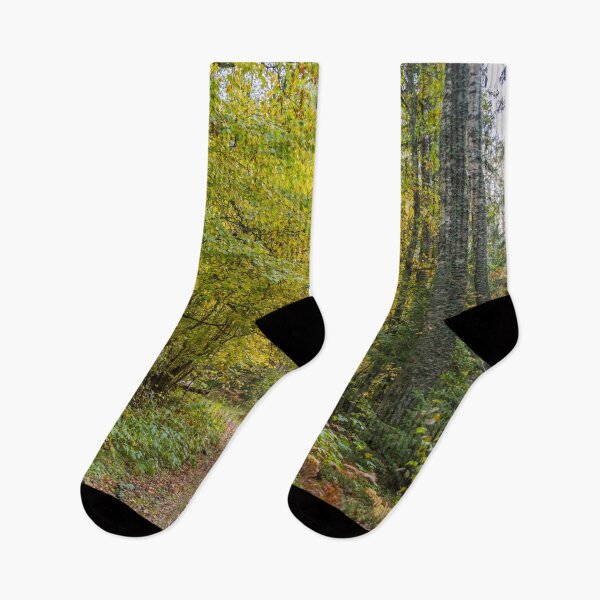 Item preview, Path in a Deep Forest in Northern Europe in Autumn  designed and sold by Jon Shore.