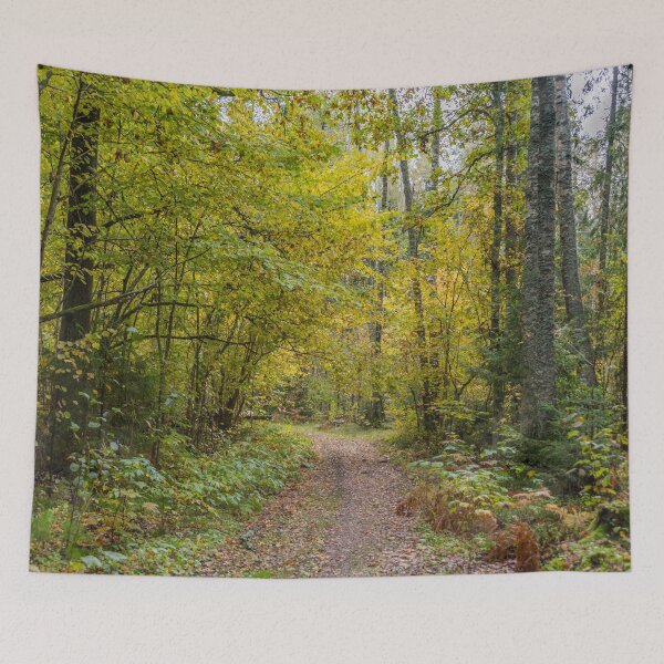 Item preview, Path in a Deep Forest in Northern Europe in Autumn  designed and sold by Jon Shore.