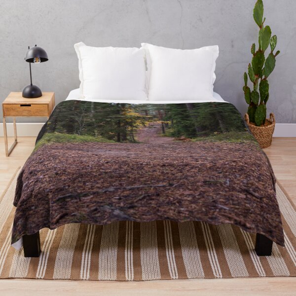 Item preview, Path in a Deep Green Forest in Northern Europe in Autumn  designed and sold by Jon Shore.