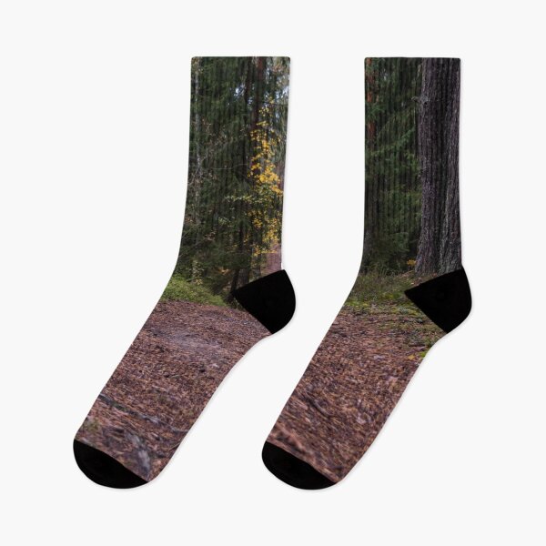 Item preview, Path in a Deep Green Forest in Northern Europe in Autumn  designed and sold by Jon Shore.