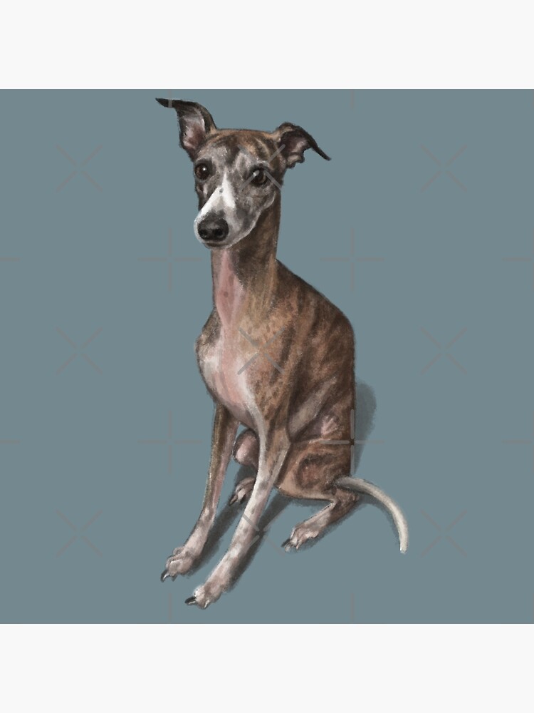 The Whippet by elspethrose