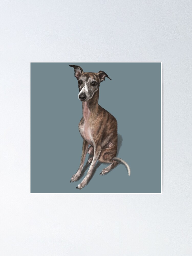 Alternate view of The Whippet Poster