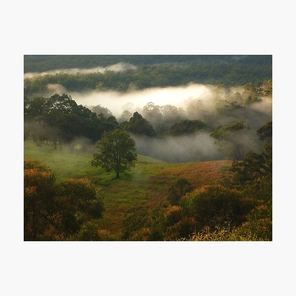 Item preview, " Morning Bliss" designed and sold by debsphotos.