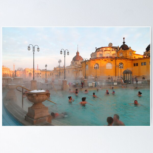 Item preview, Széchenyi medicinal baths III designed and sold by zumi.