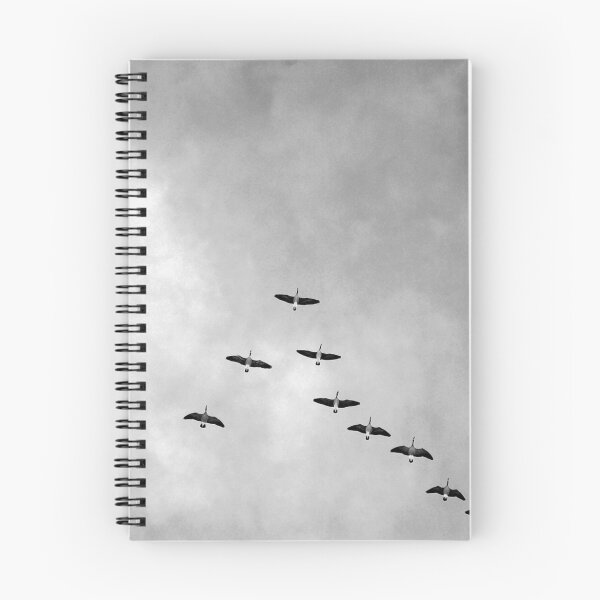 Item preview, flying in formation designed and sold by fishinmusician.