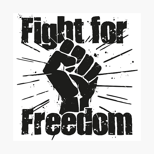洋書 Fighting for Freedom pp,504x498-pad,600x600,f8f8f8.webp