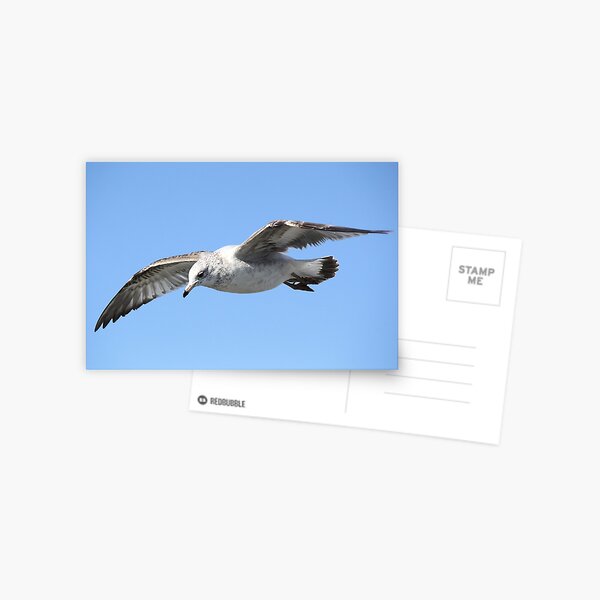 Item preview, Searching designed and sold by Paulette1021.