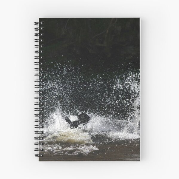 Item preview, Black labrador in water designed and sold by turniptowers.