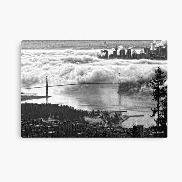 Urban Eiderdown Canvas Print