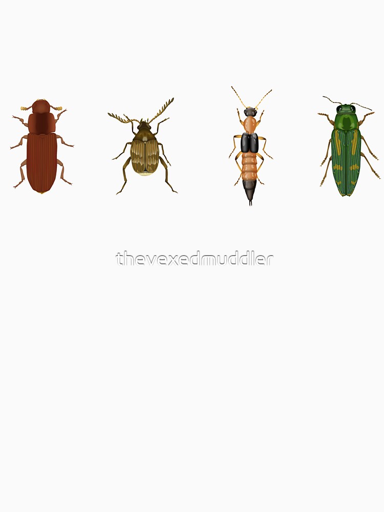 Four Beetles by thevexedmuddler