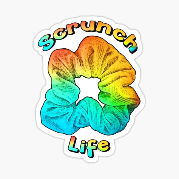 Vsco Scrunchie Scrunch Life Colorful Rainbow Girls Sticker For Sale By Dd2019 Redbubble