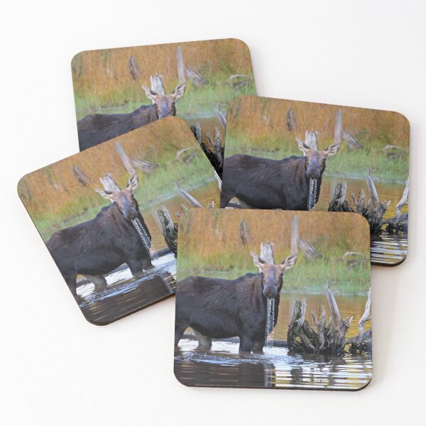Item preview, Maine Moose designed and sold by Enola Gay Wagner.