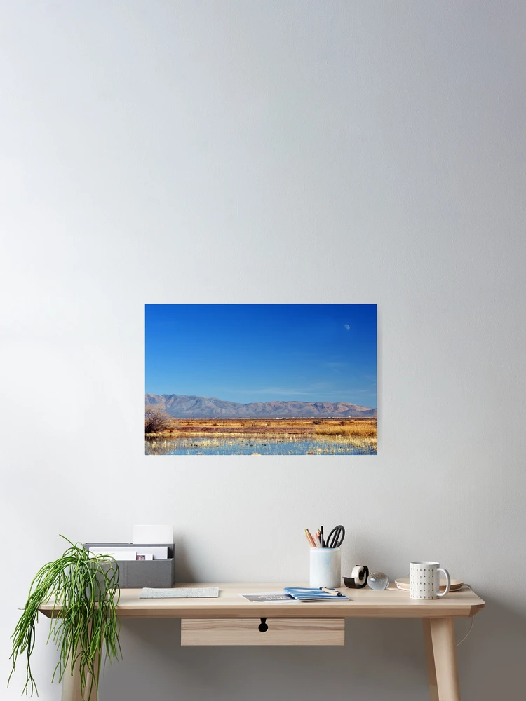 Thumbnail 2 of 3, Poster, Moon Rising designed and sold by Barbara Manis.