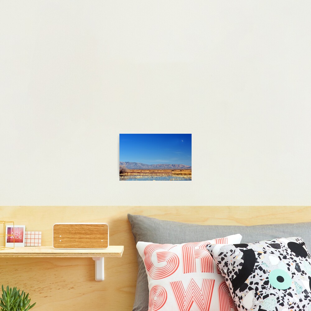 Item preview, Photographic Print designed and sold by BarbaraManis.
