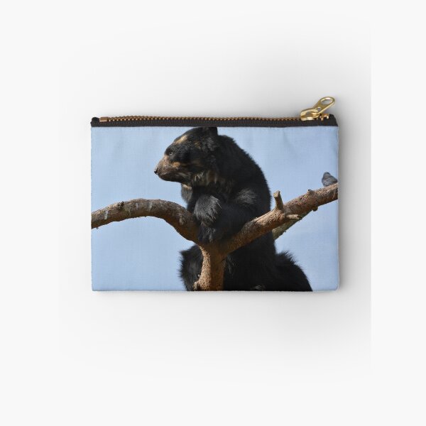Item preview, Andean bear seated in a tree designed and sold by RTPhotos.