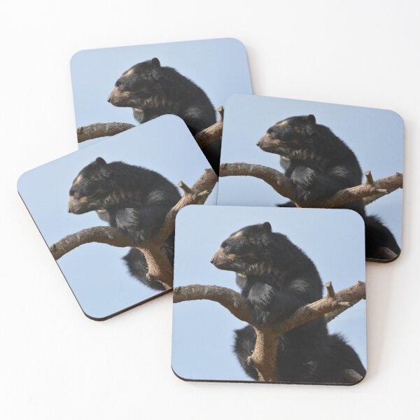 Item preview, Andean bear seated in a tree designed and sold by RTPhotos.