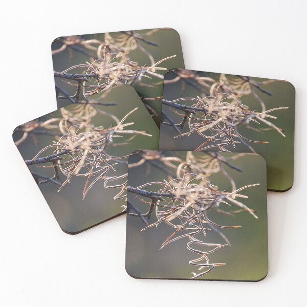 Item preview, Spanish Moss designed and sold by Richard Nix.