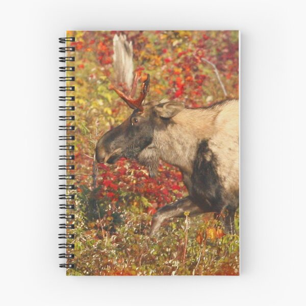 Item preview, Maine Piebald Bull Moose designed and sold by Enola Gay Wagner.