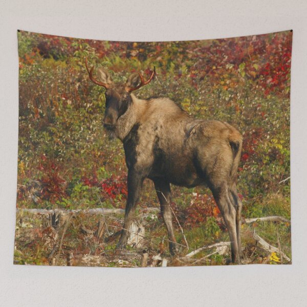 Item preview, Maine Bull piebald Moose in the fall designed and sold by Enola Gay Wagner.