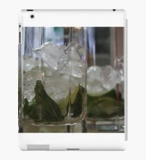 Drinks iPad Case/Skin