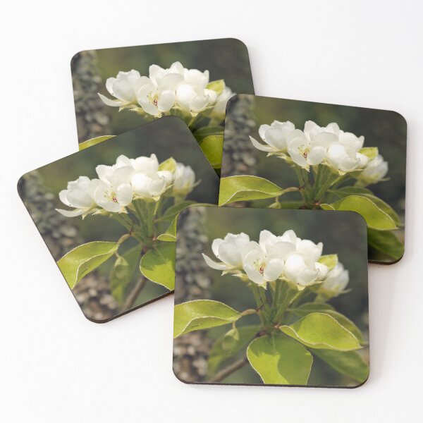Item preview, Pear Blossom designed and sold by pinkal.
