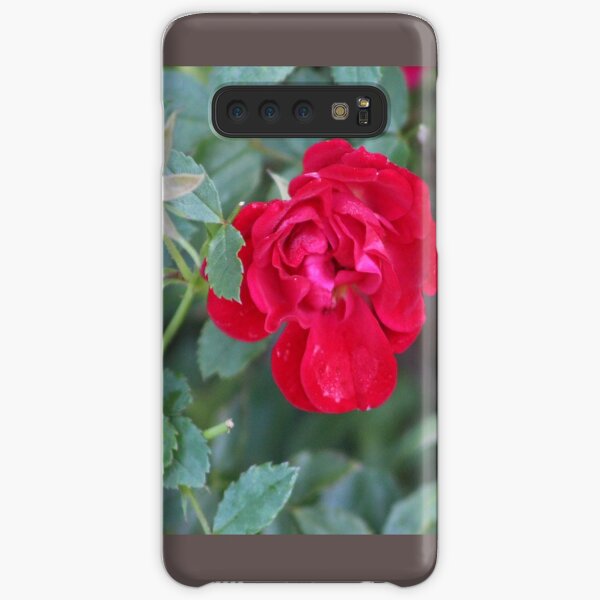 Red roses Everywhere Samsung Galaxy Snap Case