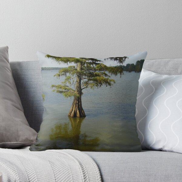 Item preview, One Cypress Tree designed and sold by WildestArt.