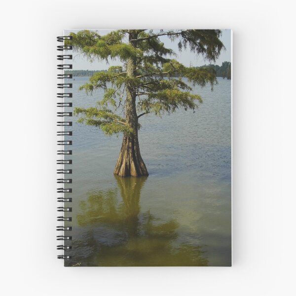 Item preview, One Cypress Tree designed and sold by WildestArt.