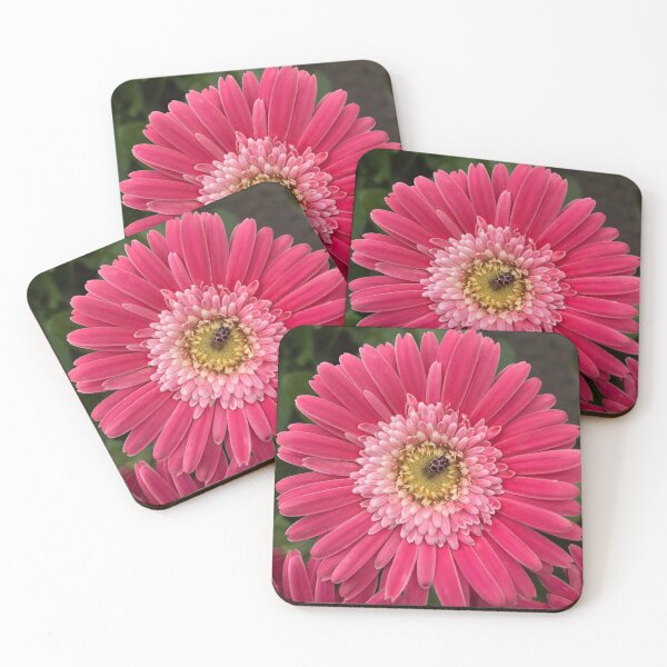 Item preview, Pink on Pink designed and sold by StampCity.