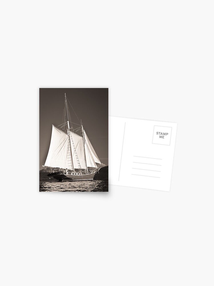 Thumbnail 1 of 2, Postcard, "Windjammer"- Toned designed and sold by Tim Wootton.