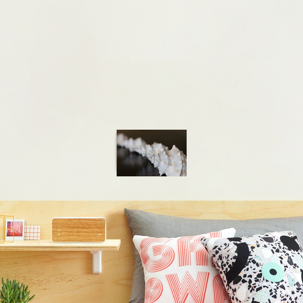 Item preview, Photographic Print designed and sold by Dandy80.