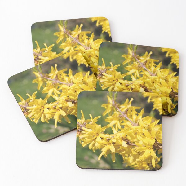 Item preview, Forsythia designed and sold by pinkal.