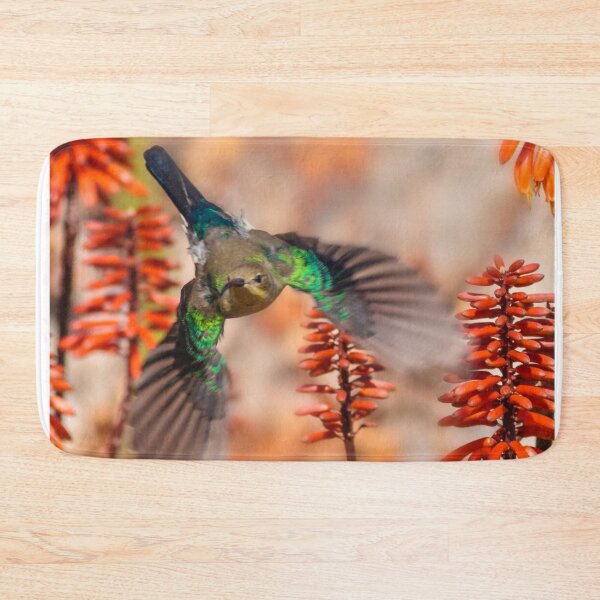 Item preview, Sunbird and Aloes designed and sold by Scotch Macaskill.