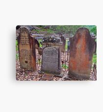 The Old St Albans Cemetery..16-1-11.. Metal Print