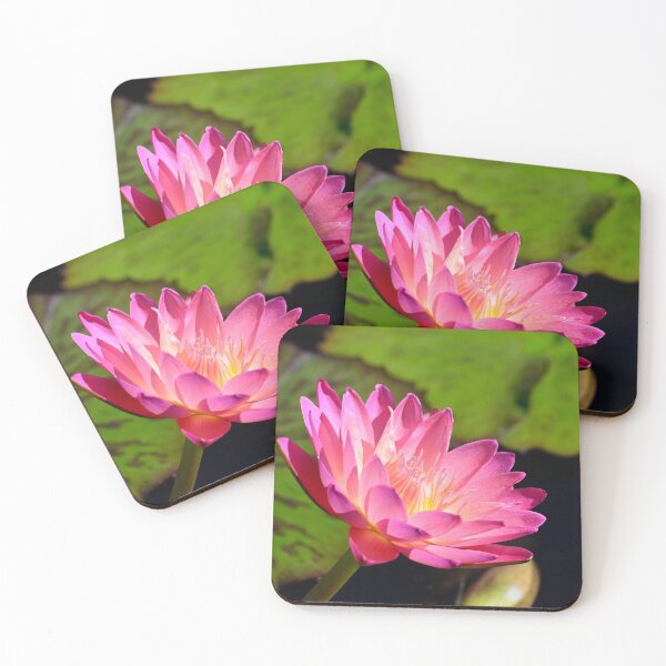 Item preview, Pink water lily  designed and sold by Richard Nix.