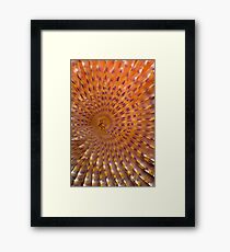 Psychedelic Framed Print