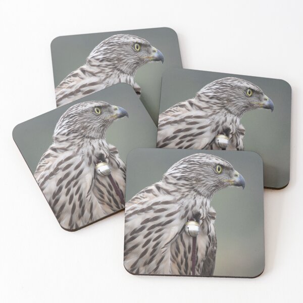 Item preview, Goshawk Falcon designed and sold by Birmingham0121.