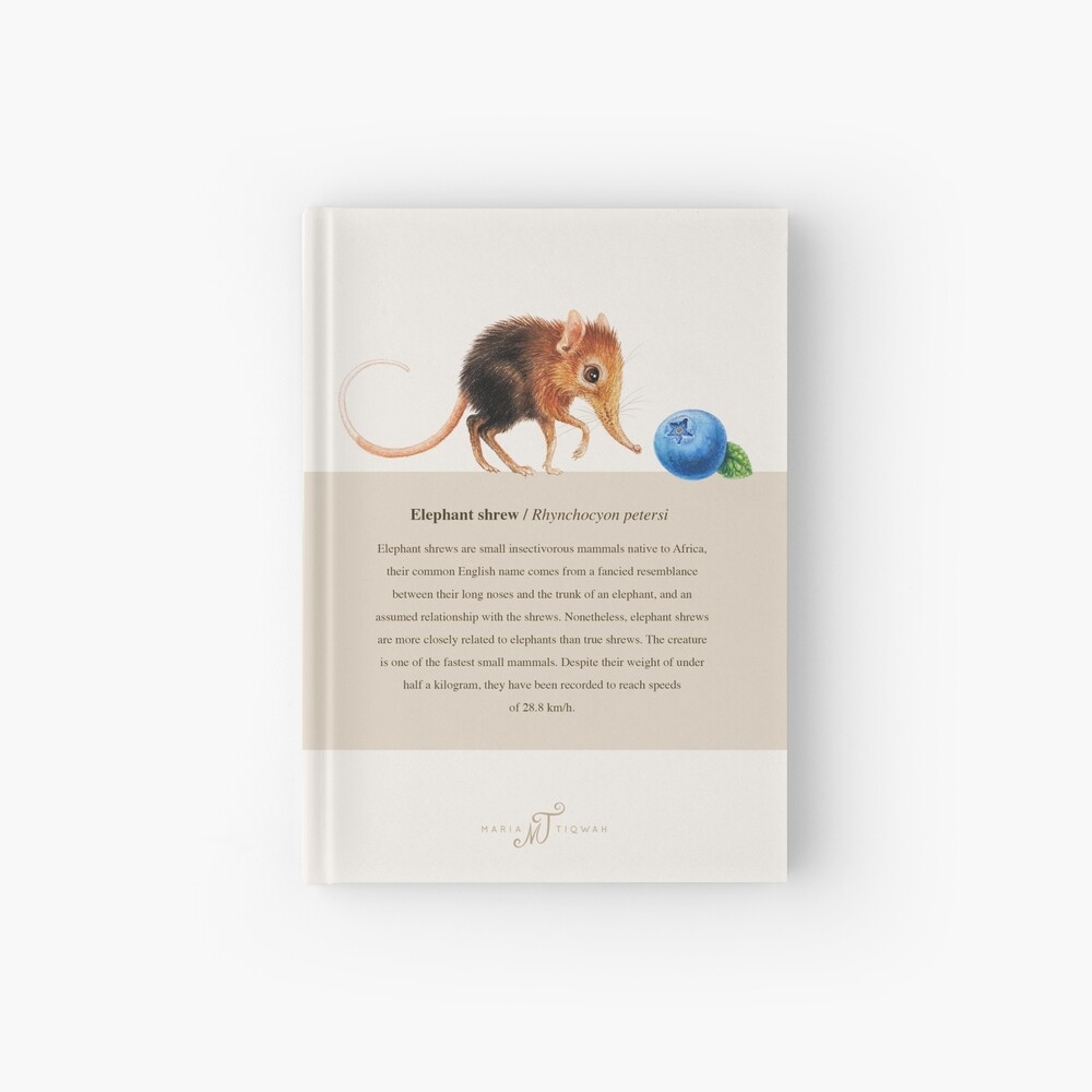 Elephant shrew by Maria Tiqwah Hardcover Journal