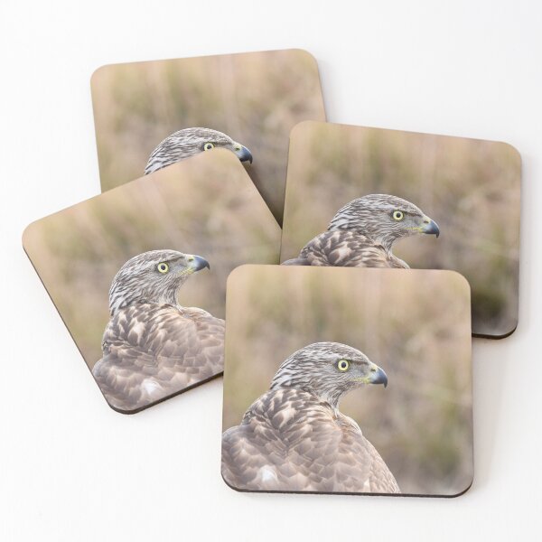 Item preview, Goshawk Falcon designed and sold by Birmingham0121.